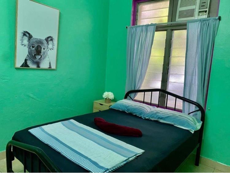 Budget Double Room (18+)