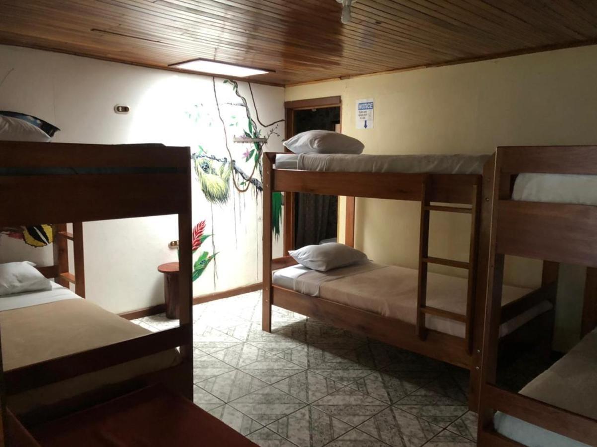6-Bed Mixed Dormitory Room