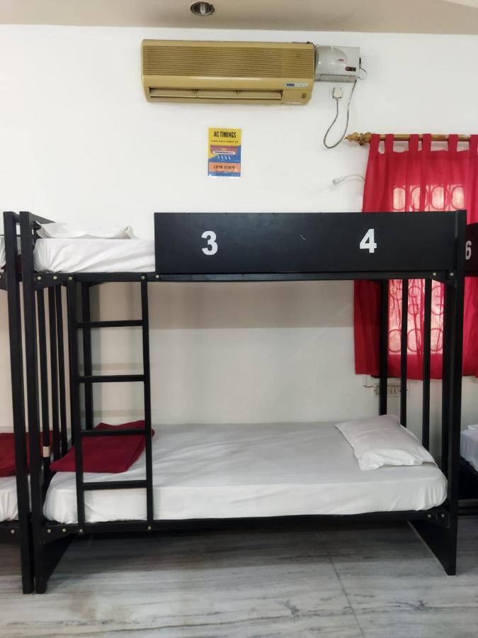 Bunk Bed in Mixed Dormitory Room,1185917353:JPEG
