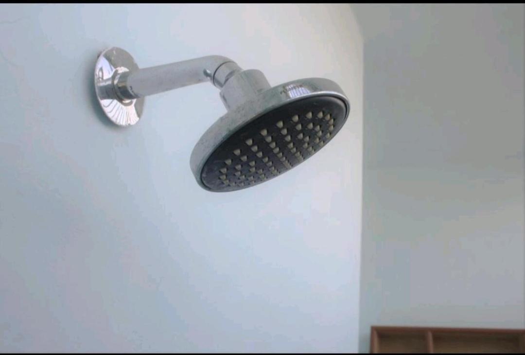 Single Bed in Female Dormitory Room,1186443823:JPEG