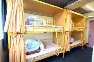 Bunk Bed Female Dormitory Room,417227571:JPEG
