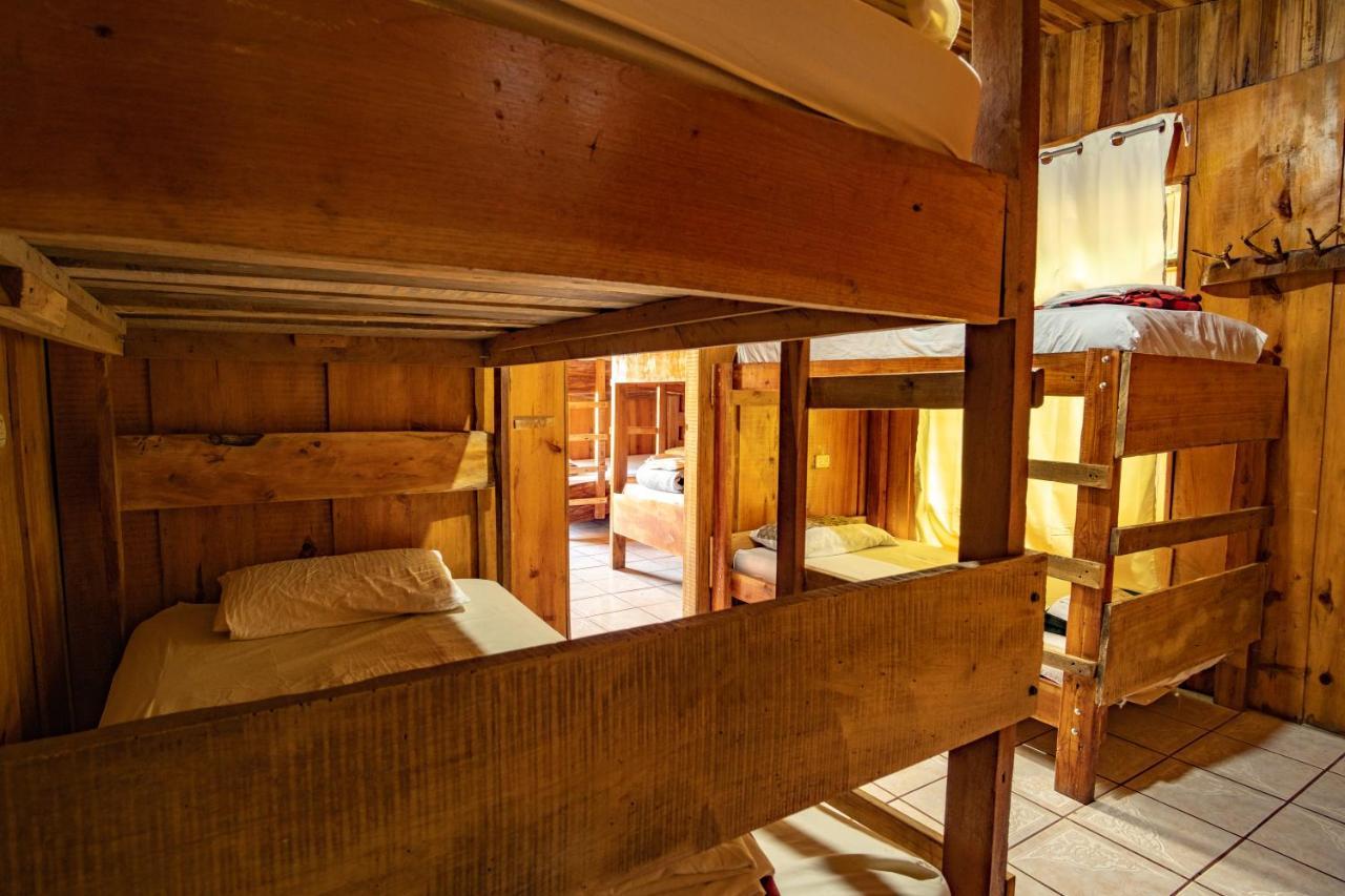 Bed in 8-Bed Mixed Dormitory Room
