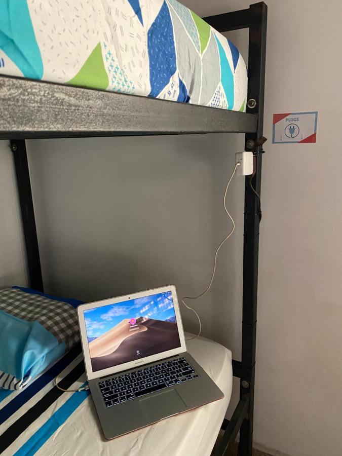 Bunk Bed Mixed Dormitory Room