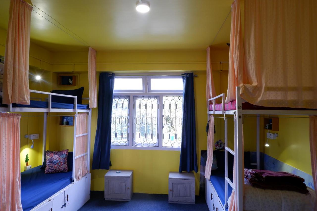 Bunk Bed in Mixed Dormitory Room
