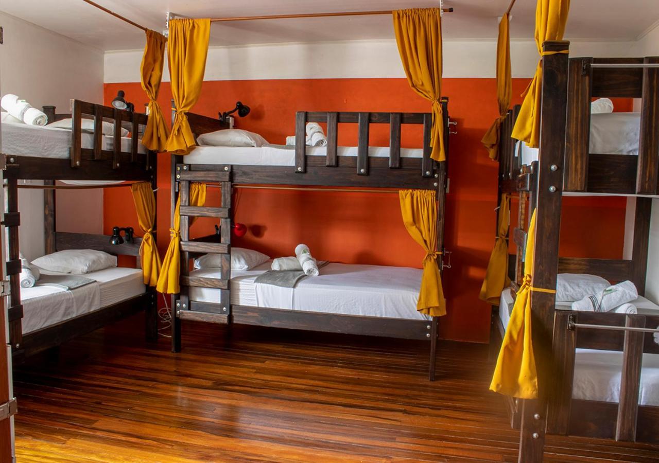 Bed in 8-Bed Dormitory Room