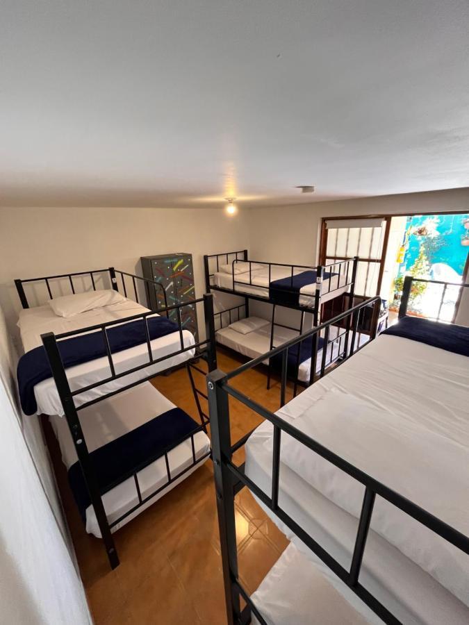 Bed in 6-Bed Mixed Dormitory Room