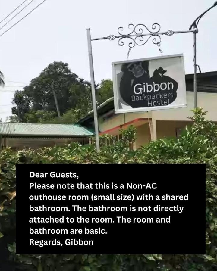 Budget Double Room,1289345305:JPEG