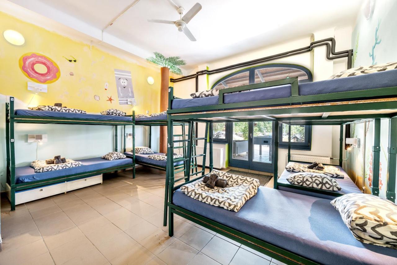 Single Bed 8-Bed Dormitory Room,1421076216:JPEG