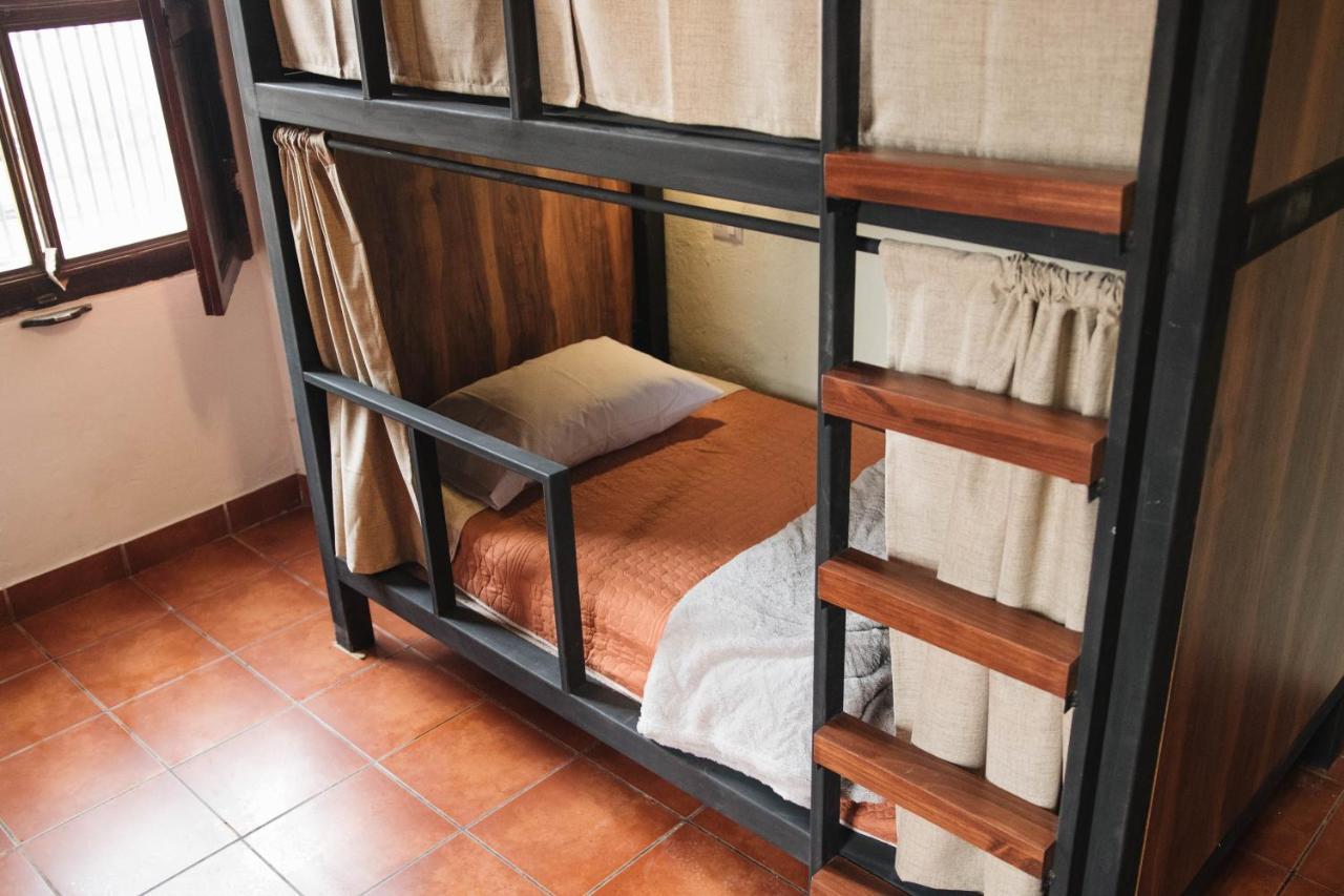 Bunk Bed in Mixed Dormitory Room
