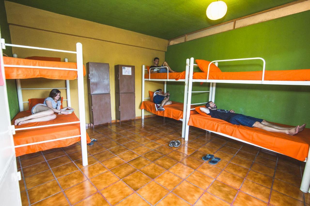 Single Bed in Mixed Dormitory Room