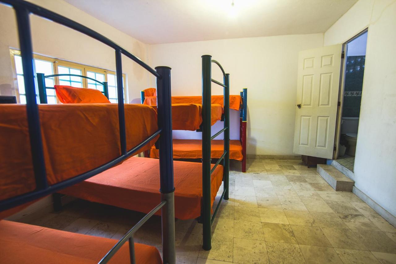 Single Bed Female Dormitory Room,1479722960:JPEG