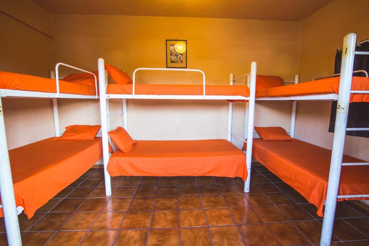 Single Bed Mixed Dormitory Room,1479722954:JPEG