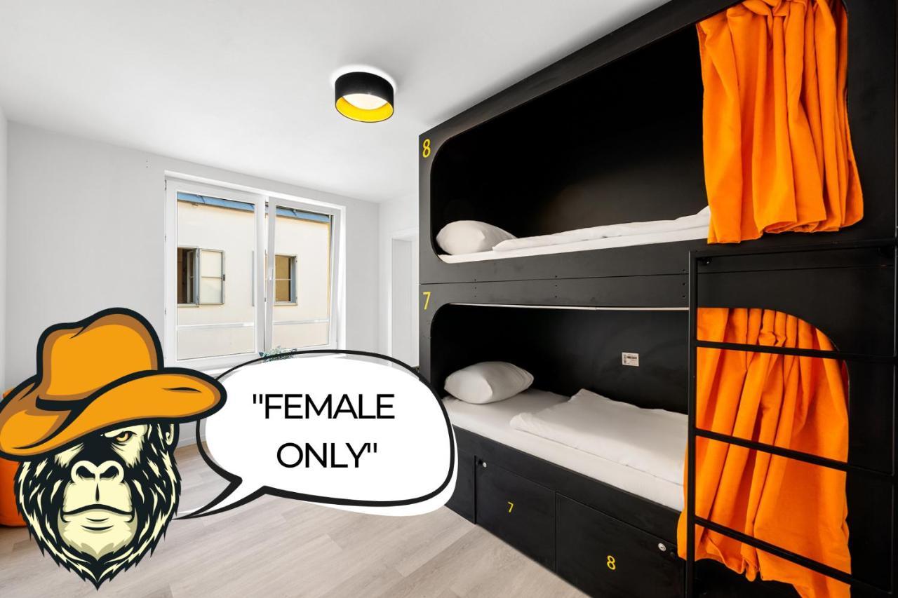 Bunk Bed in Female Dormitory Room