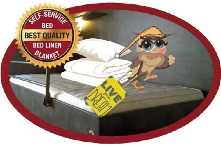Single Bed in 6-Bed Dormitory Room