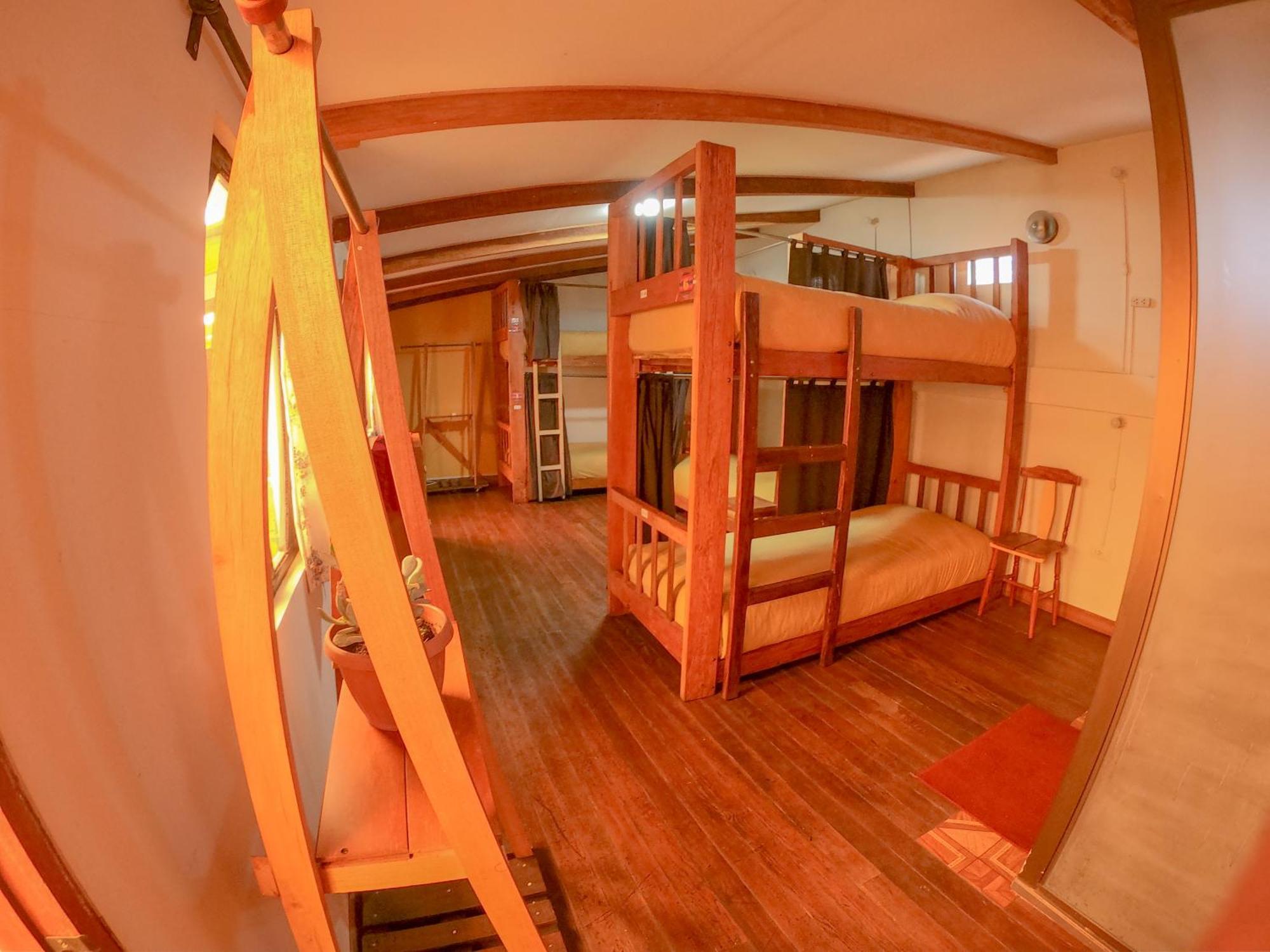 Single Bed Mixed Dormitory Room
