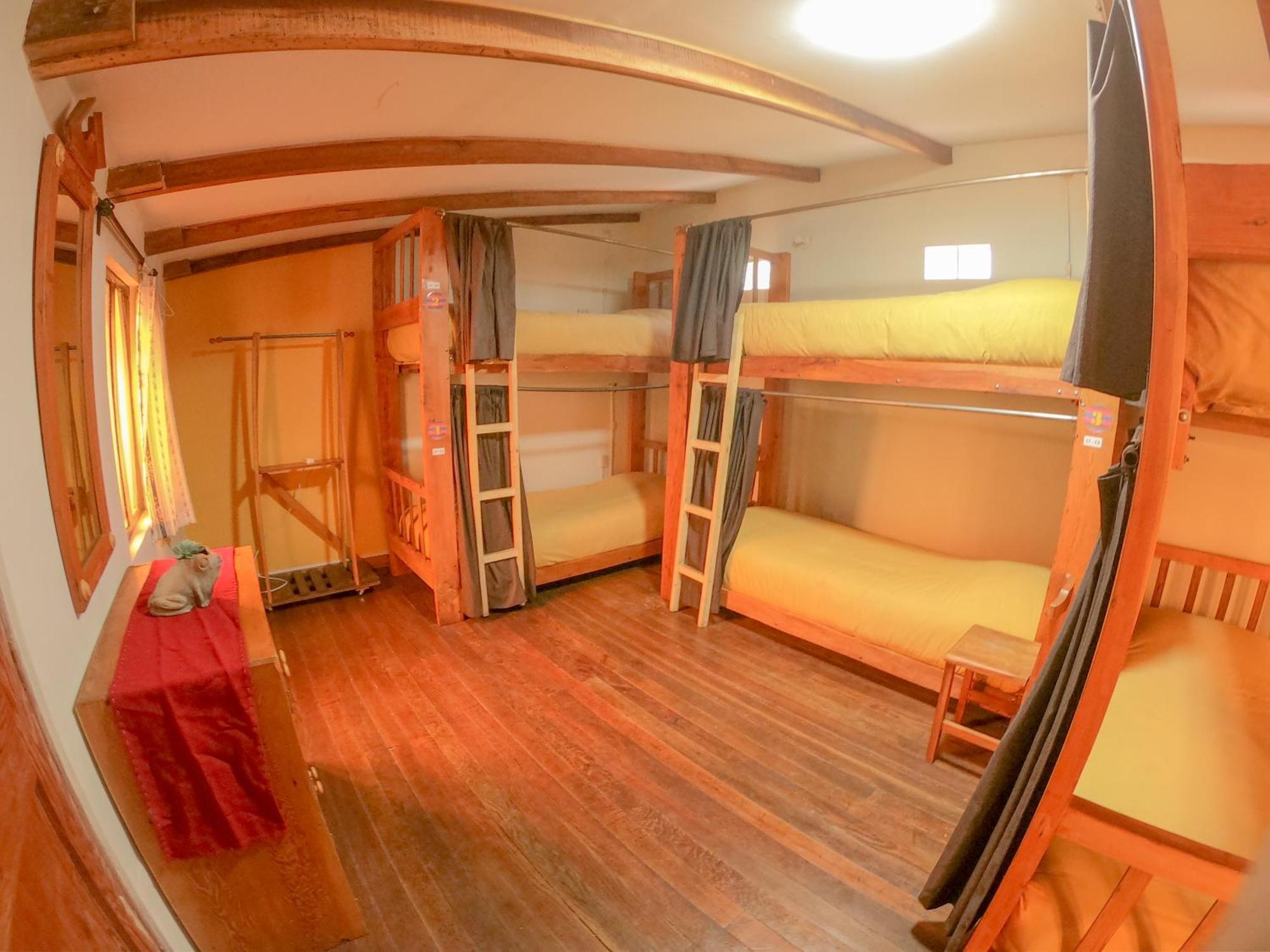 Single Bed Mixed Dormitory Room