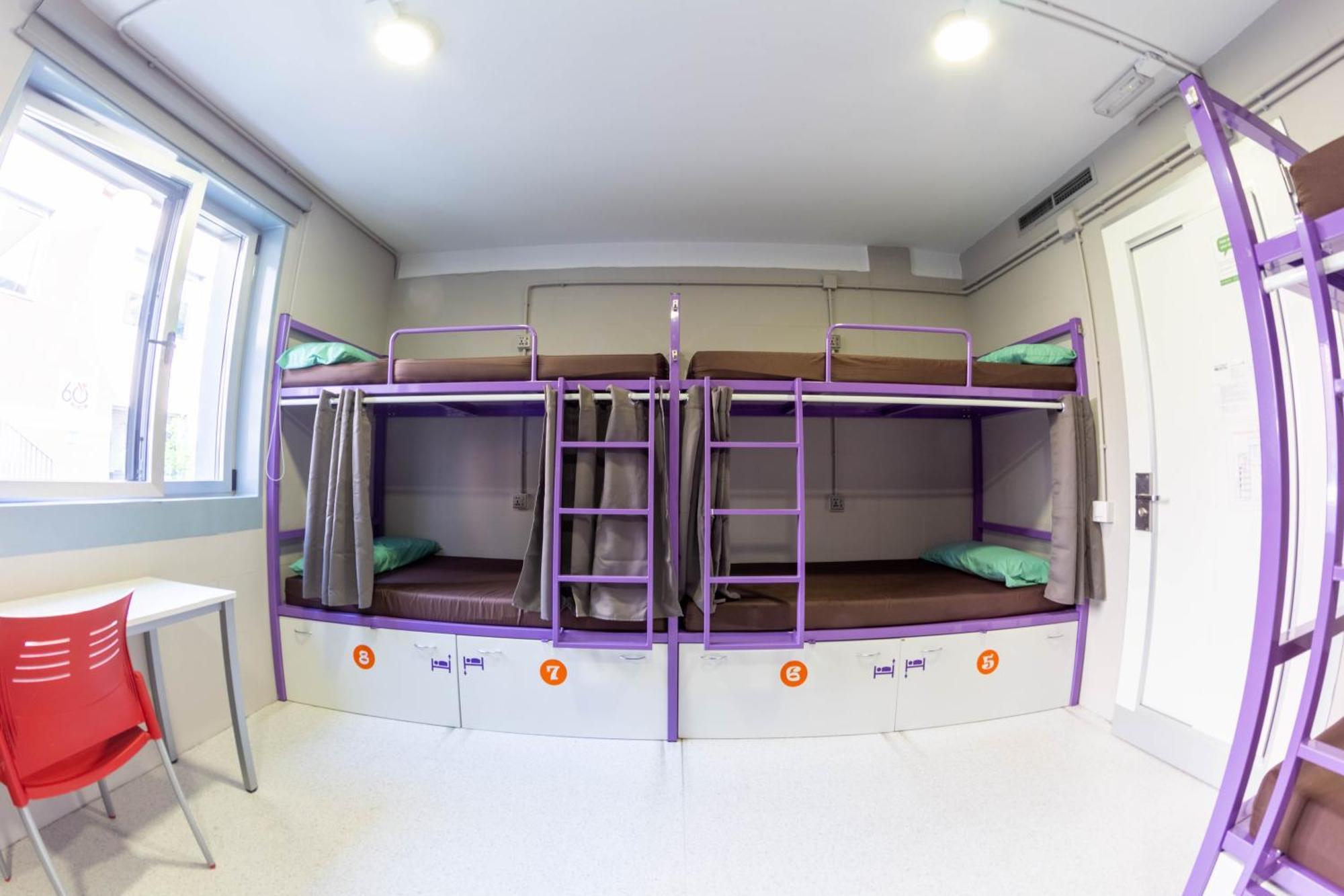 Bed in 4-Bed Mixed Dormitory Room