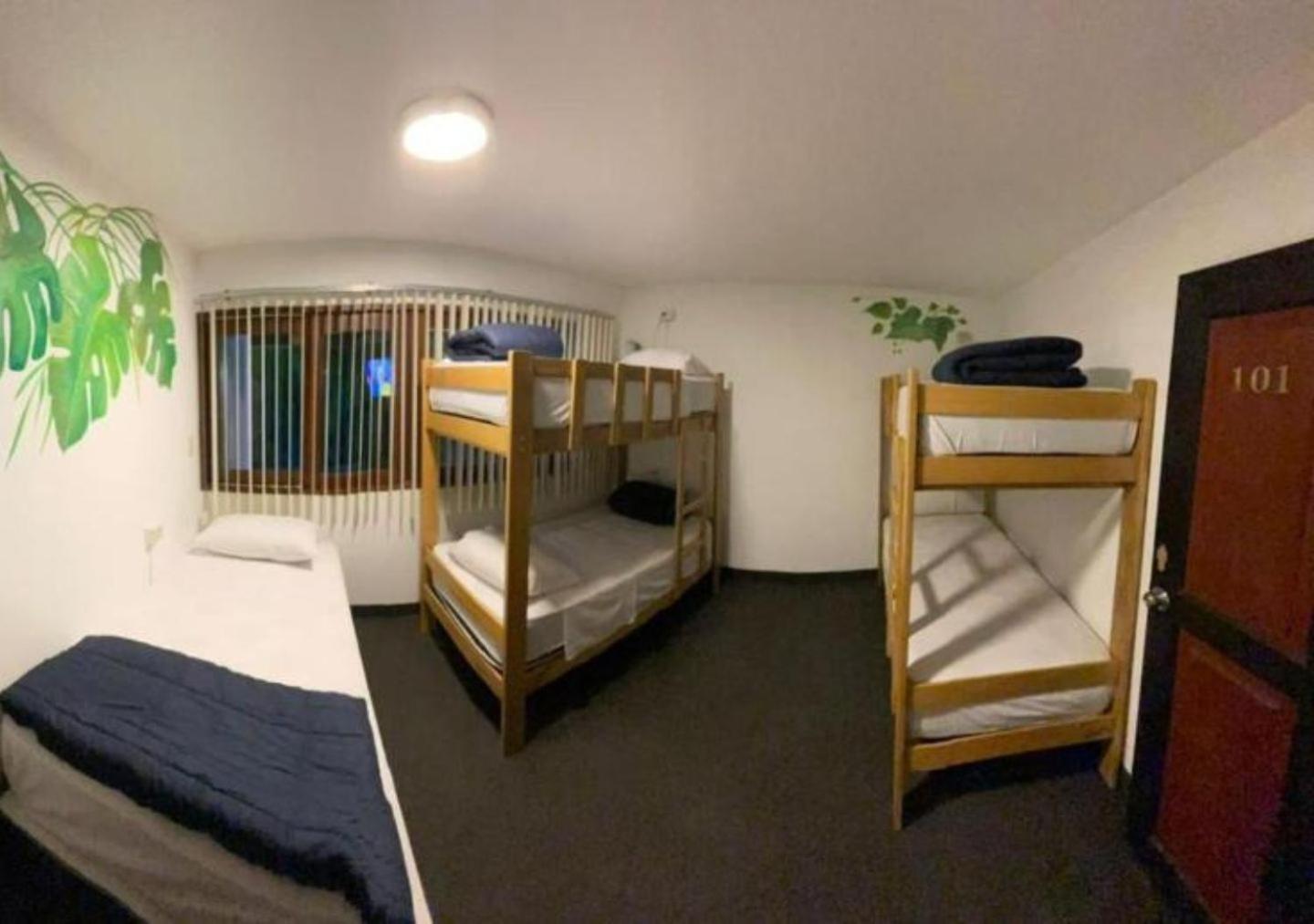 6-Bed Mixed Dormitory Room