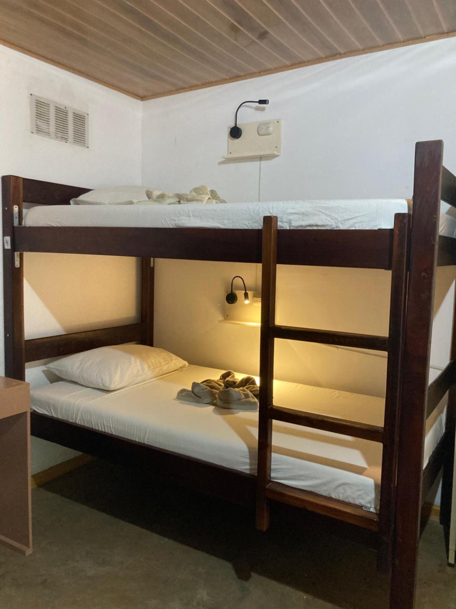 Bed in 6-Bed Dormitory Room