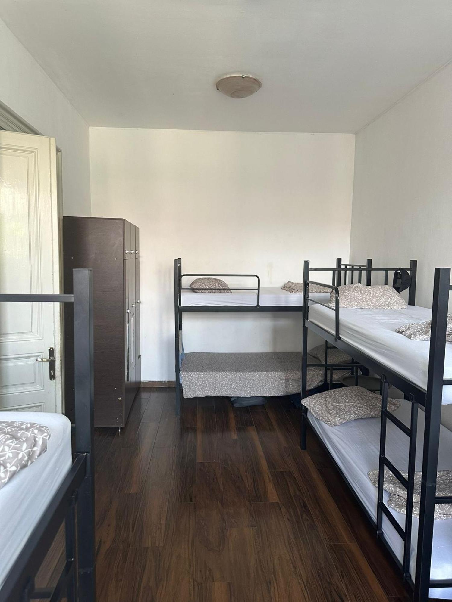 Single Bed in 8-Bed Dormitory Room