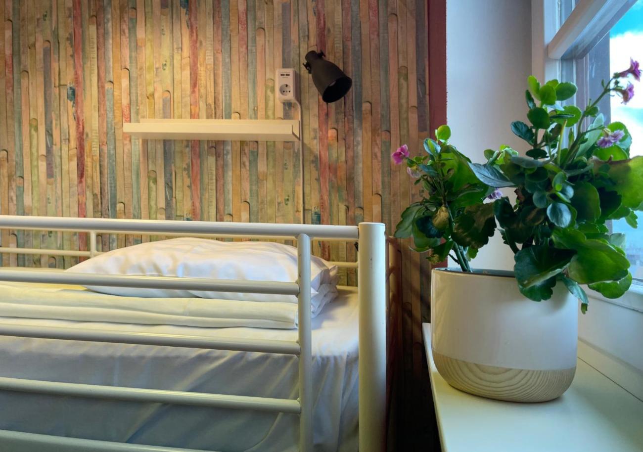 Bed 5-Bed Mixed Dormitory Room