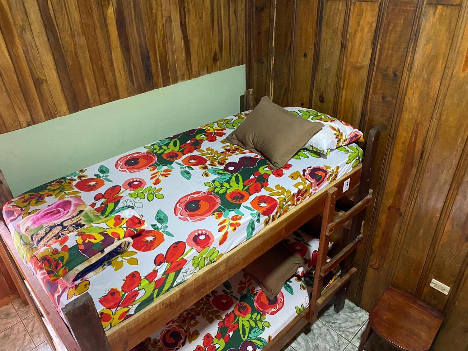 Single Bed in Female Dormitory Room