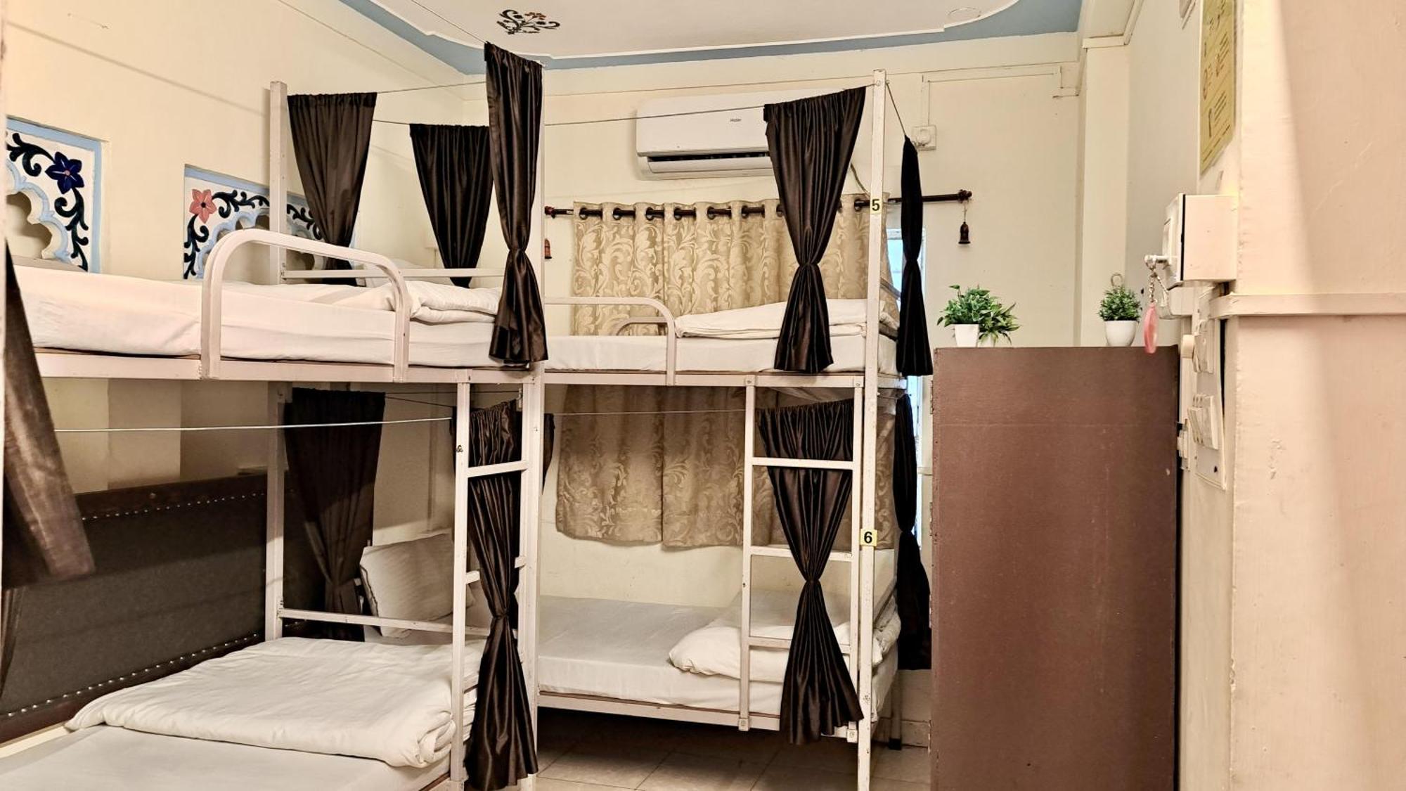 Bunk Bed in Mixed Dormitory Room,1613762788:JPEG