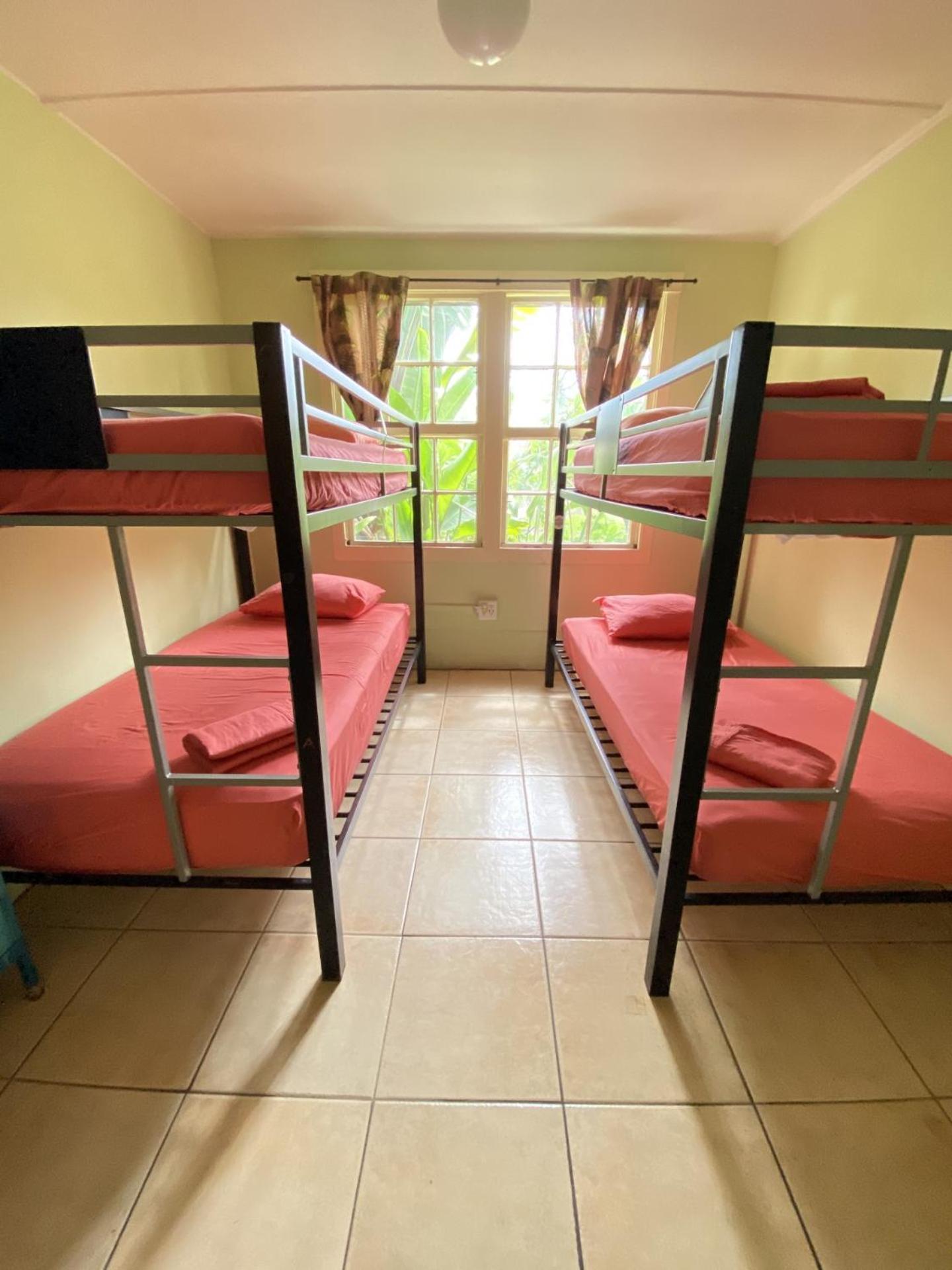 Bed in 4-Bed Mixed Dormitory Room