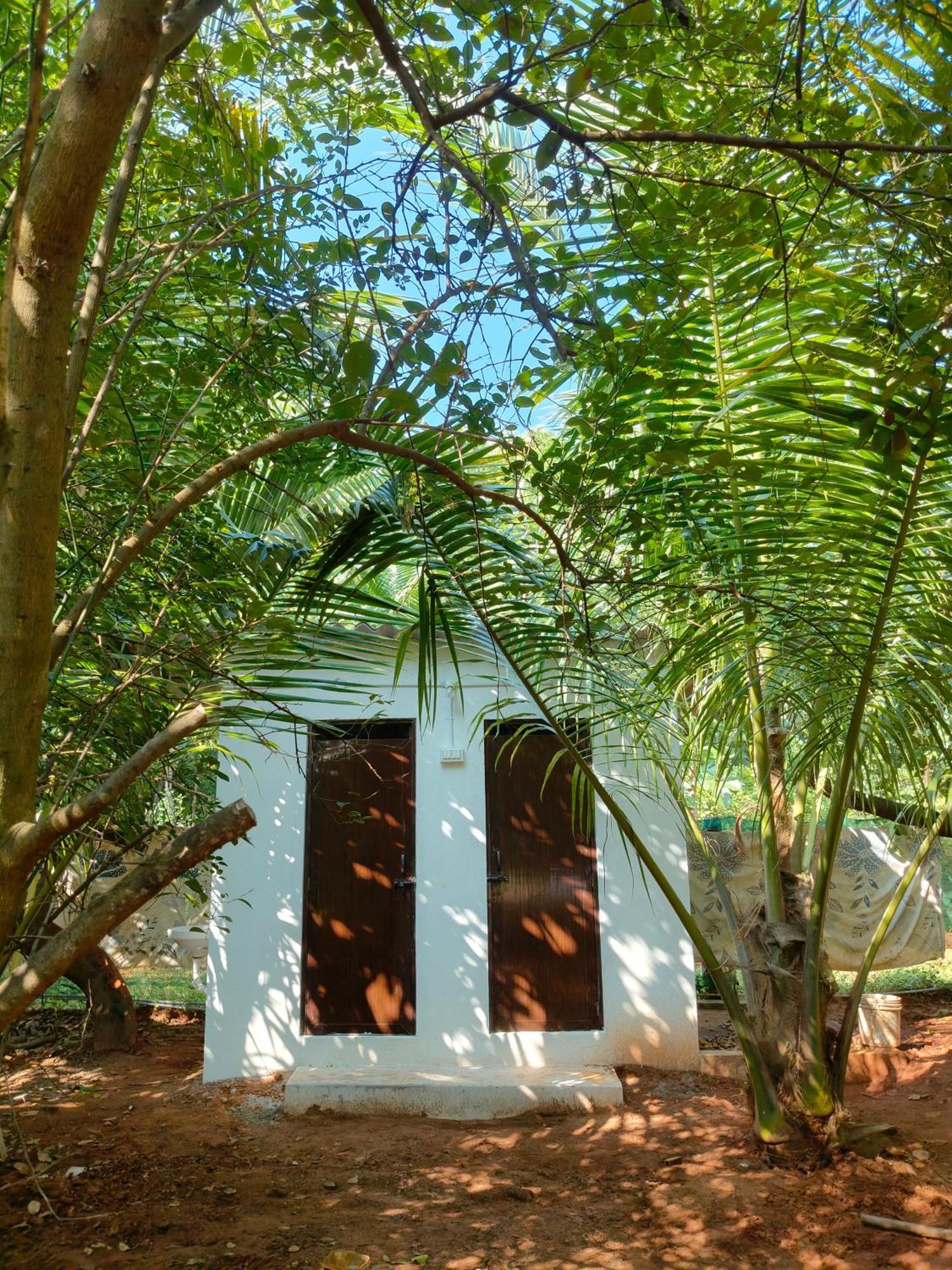 Single Bed in 6-Bed Dormitory Room,1620798325:JPEG