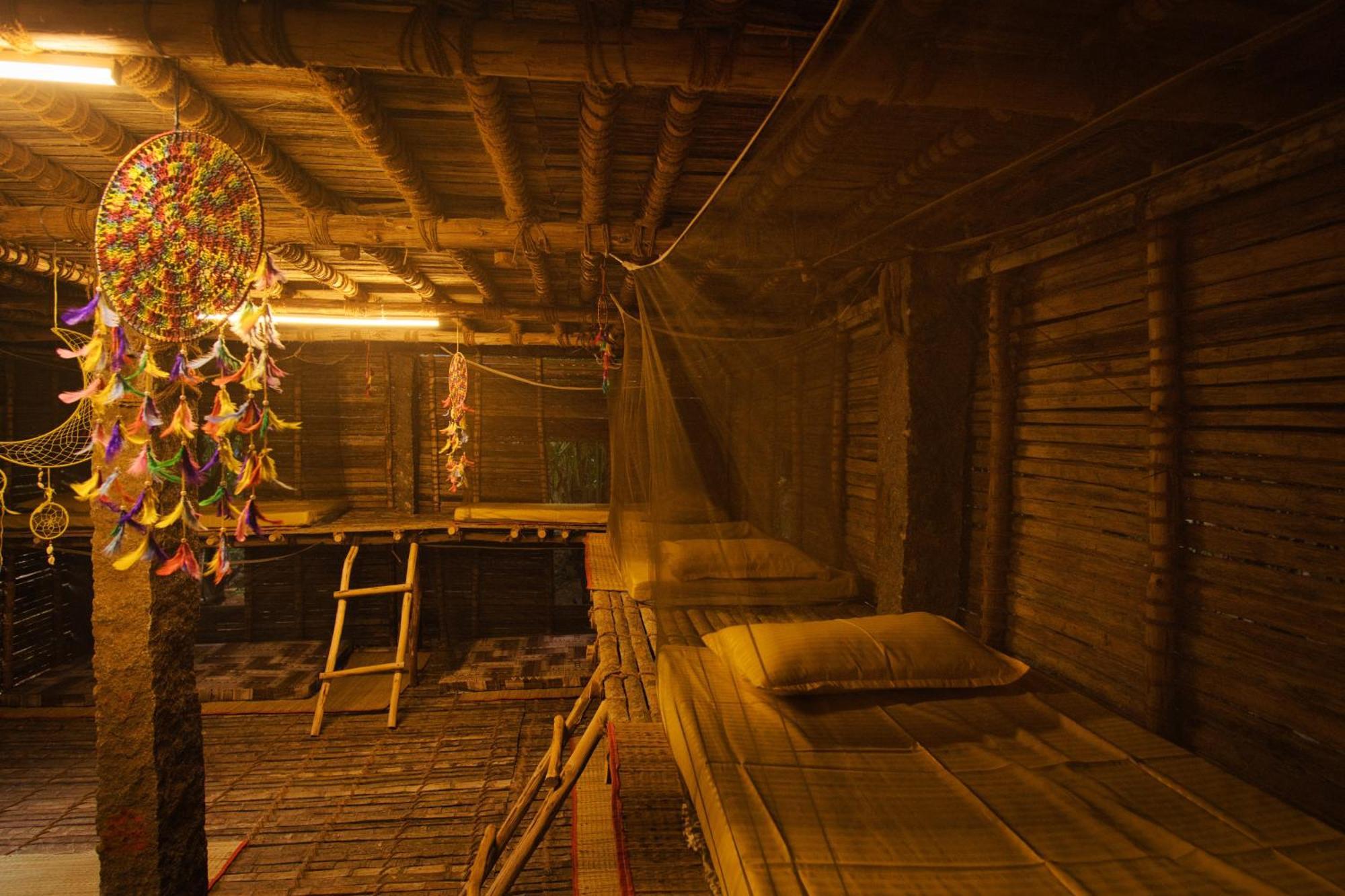 Bunk Bed in Mixed Dormitory Room,1620798312:JPEG