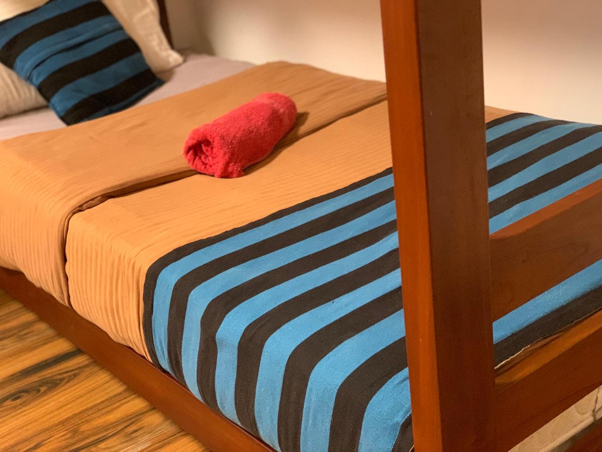 Single Bed Mixed Dormitory Room