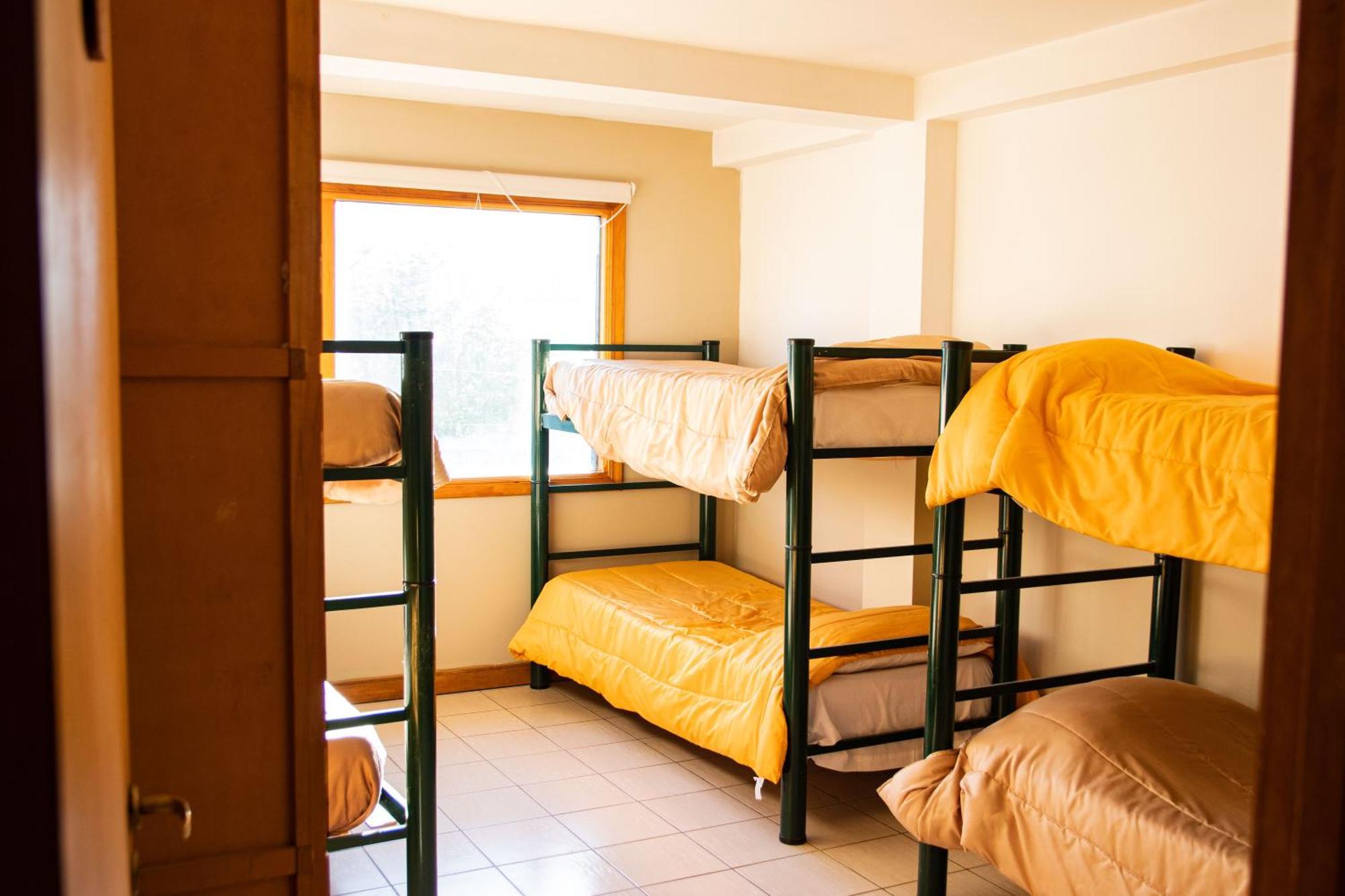 Bed in 6-Bed Dormitory Room