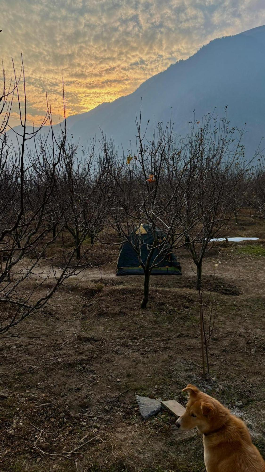 Tent,1633096200:JPEG