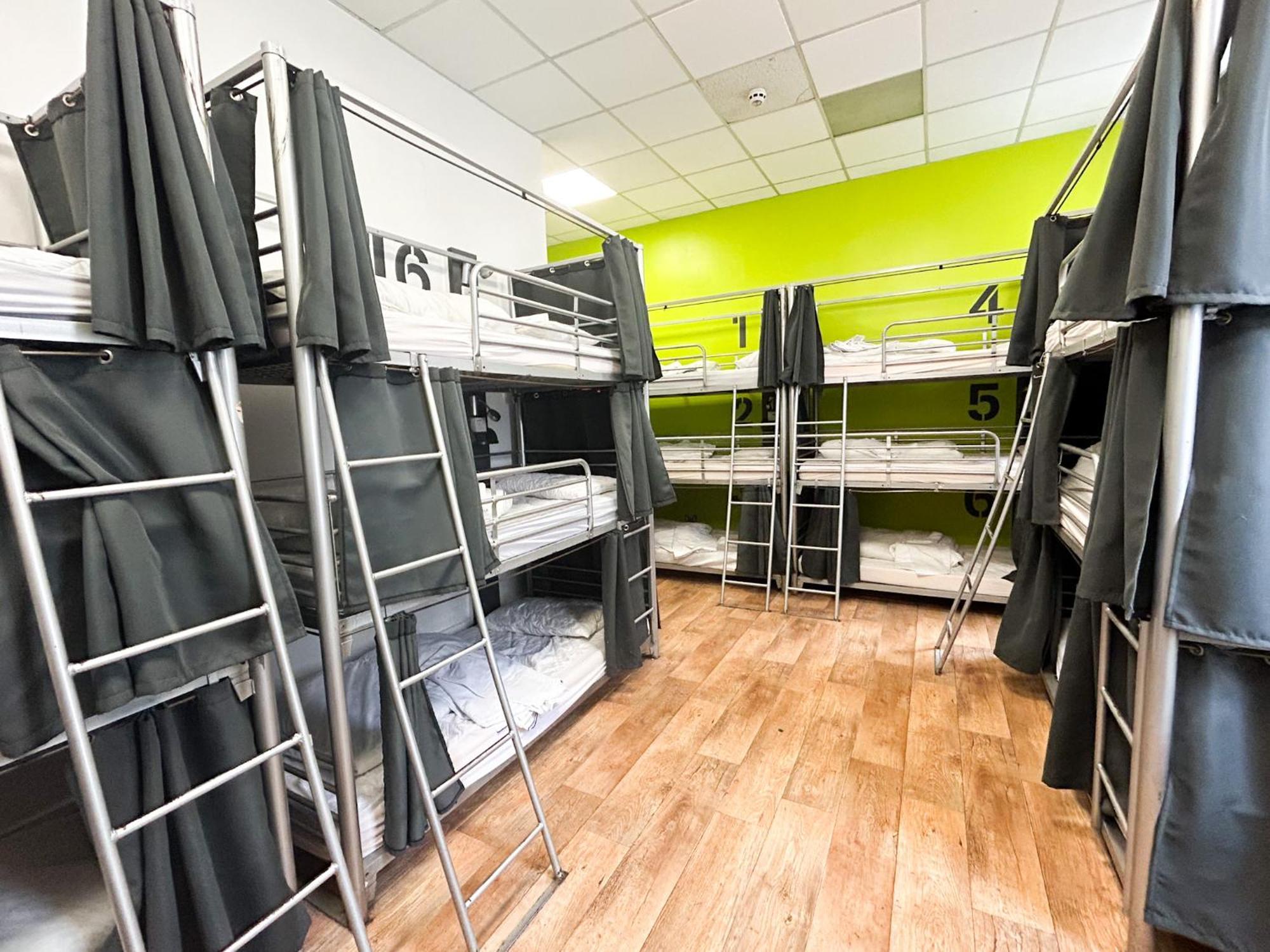 Bunk Bed in Mixed Dormitory Room