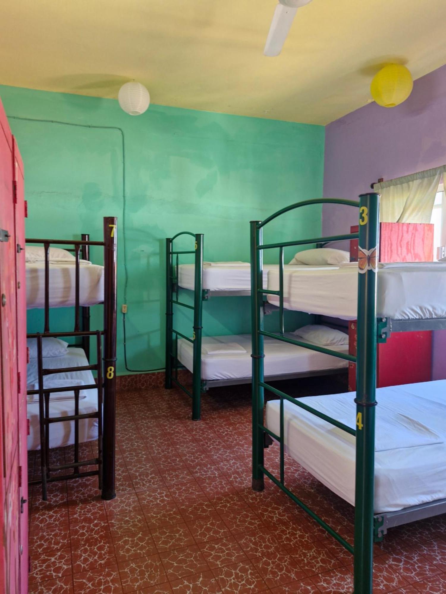 Single Bed in Female Dormitory Room