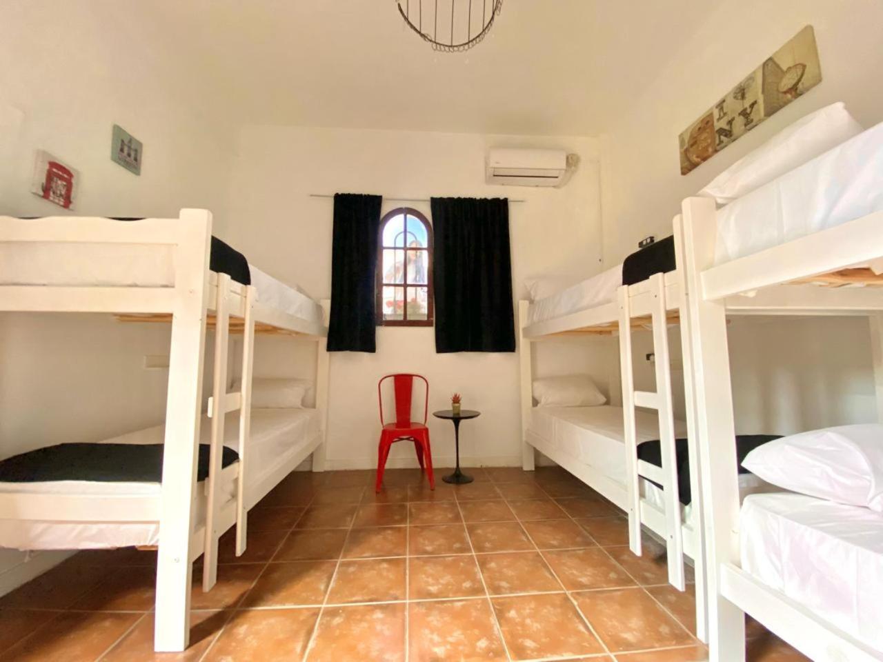 Bed in 6-Bed Mixed Dormitory Room