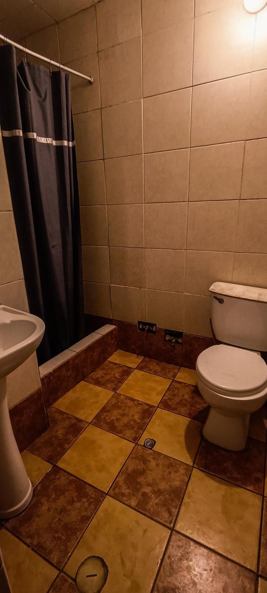 Single Bed in 10-Bed Dormitory Room,1652766268:JPEG