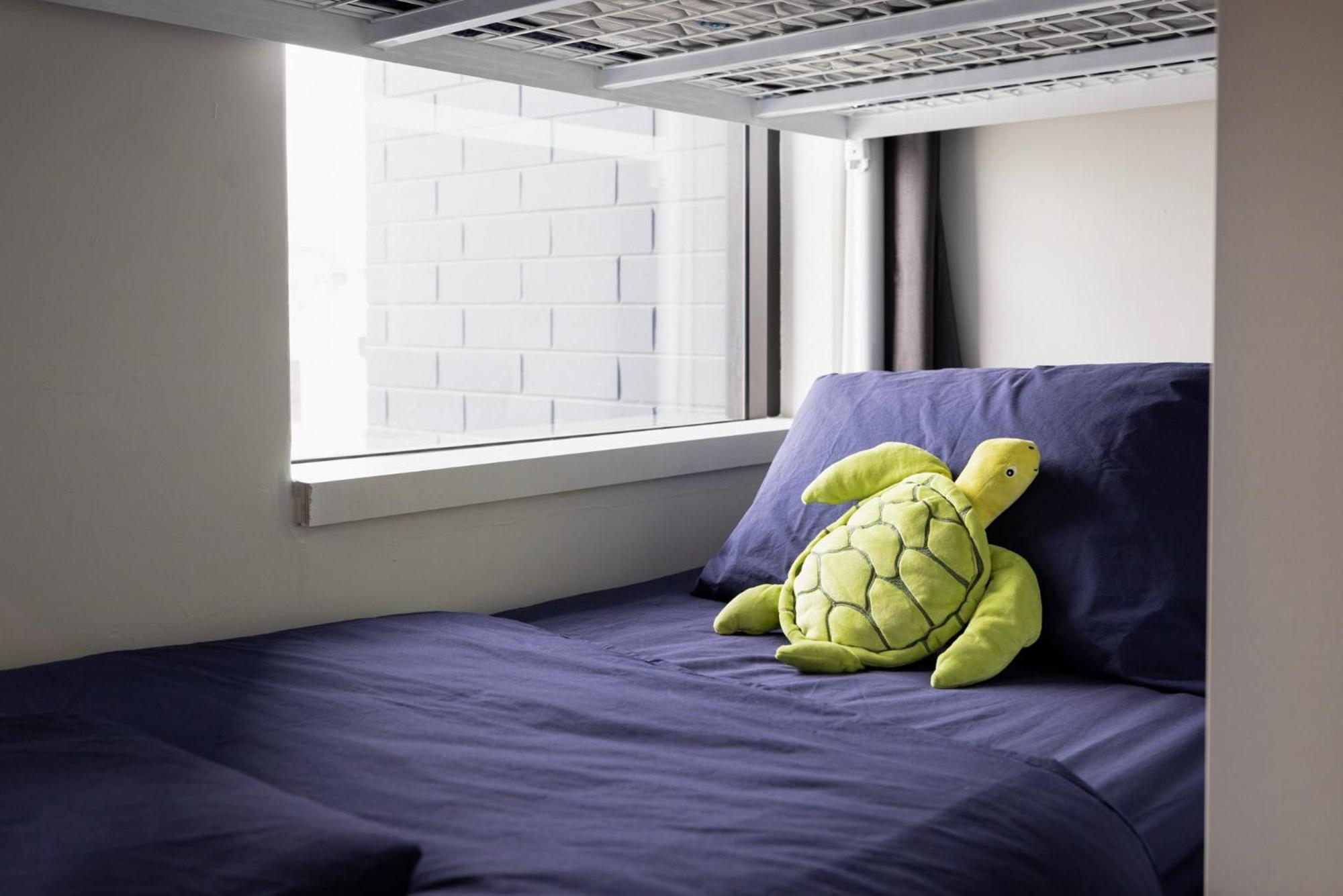 8 Bed Mixed Dorm,1653508841:JPEG