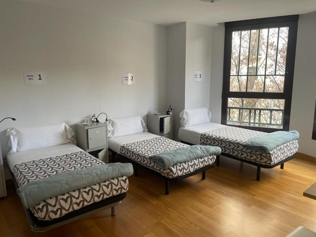Single Bed Female Dormitory Room