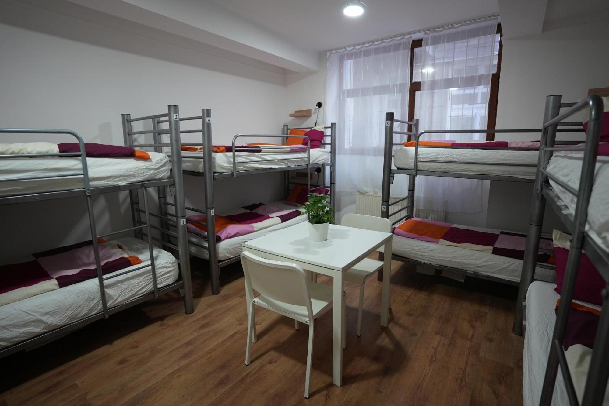 Bed in 8-Bed Mixed Dormitory Room with Shared Bathroom,1653552594:JPEG