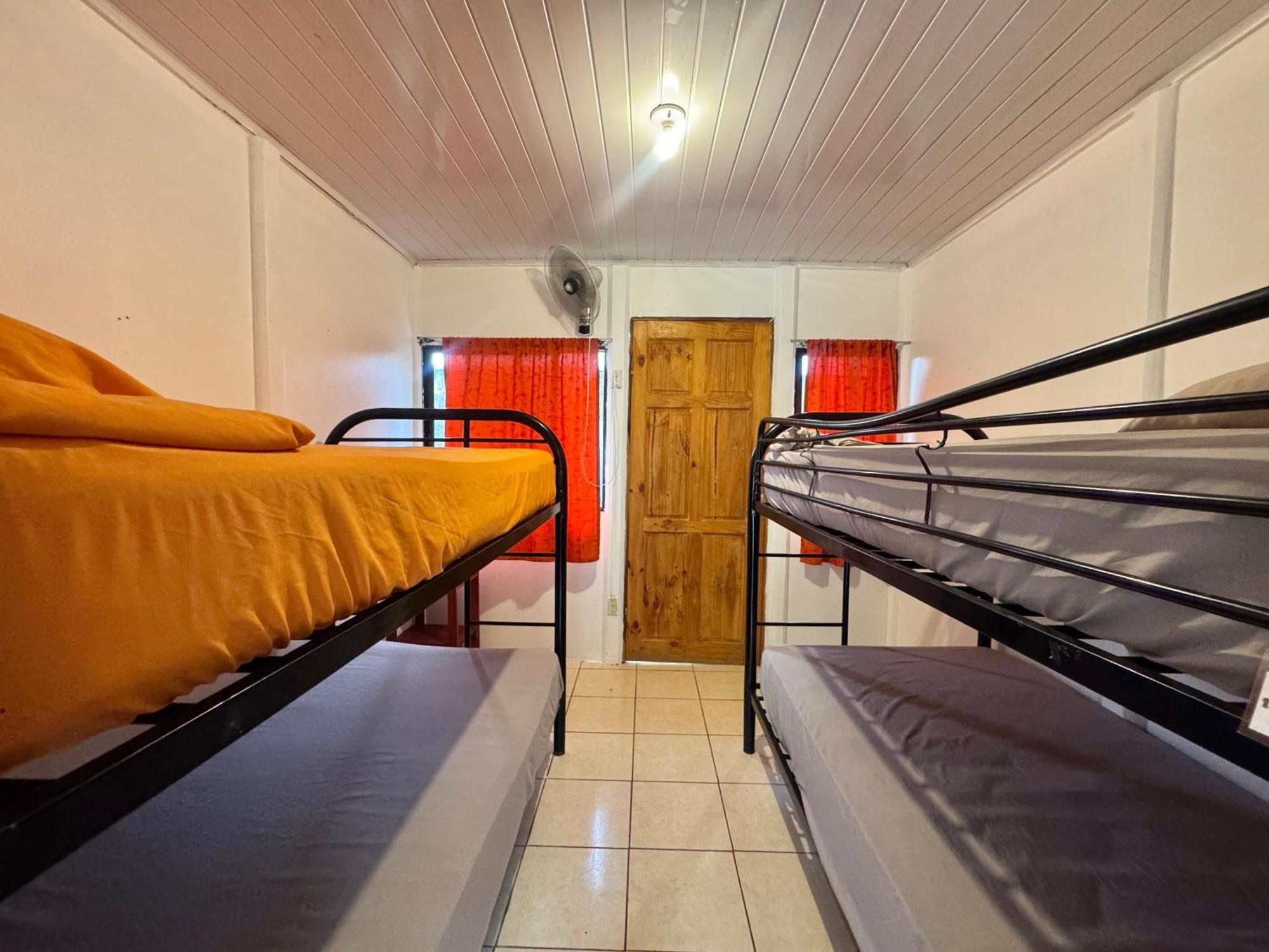 Bed in 4-Bed Mixed Dormitory Room