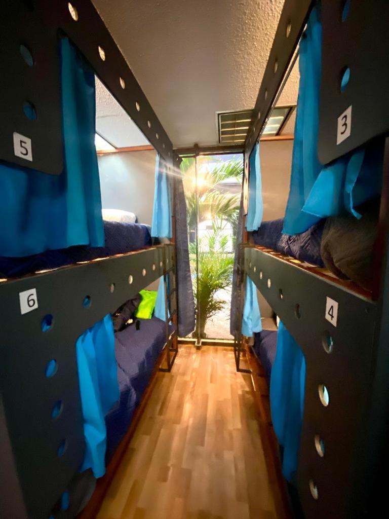 Single Bed in 6-Bed Dormitory Room
