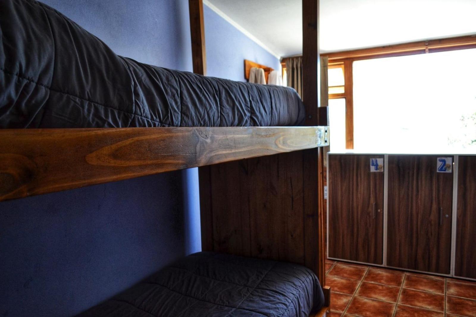 Bed in 4-Bed Mixed Dormitory Room