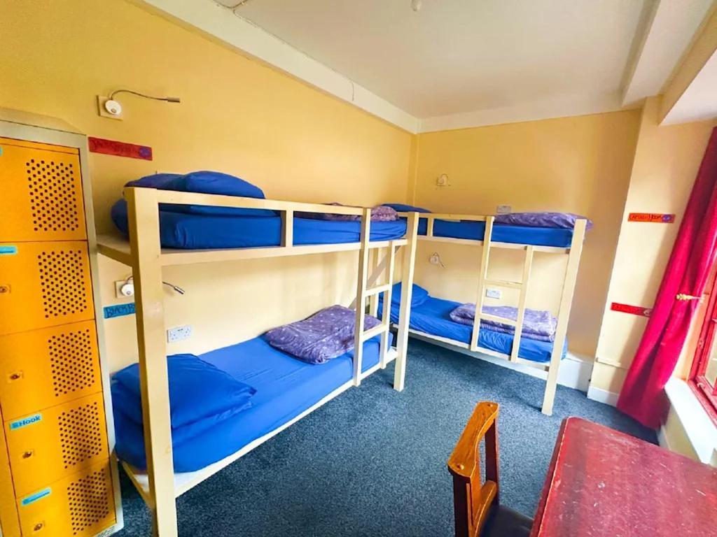 Single Bed in 4-Bed Female Dormitory Room