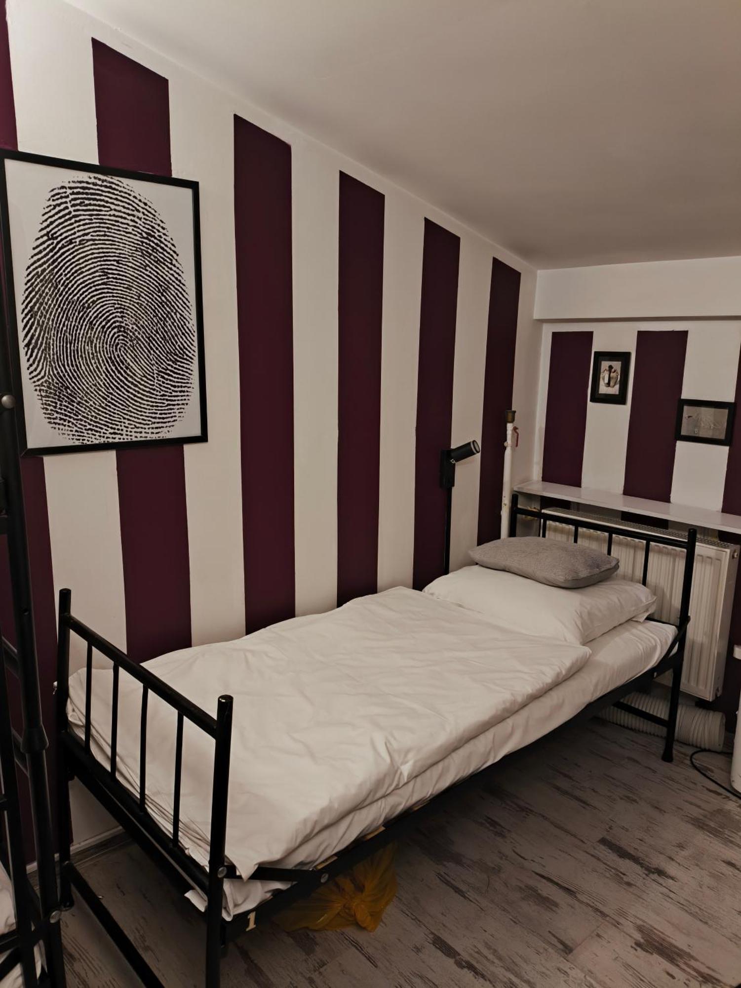 Bunk Bed Female Dormitory Room,1746958989:JPEG