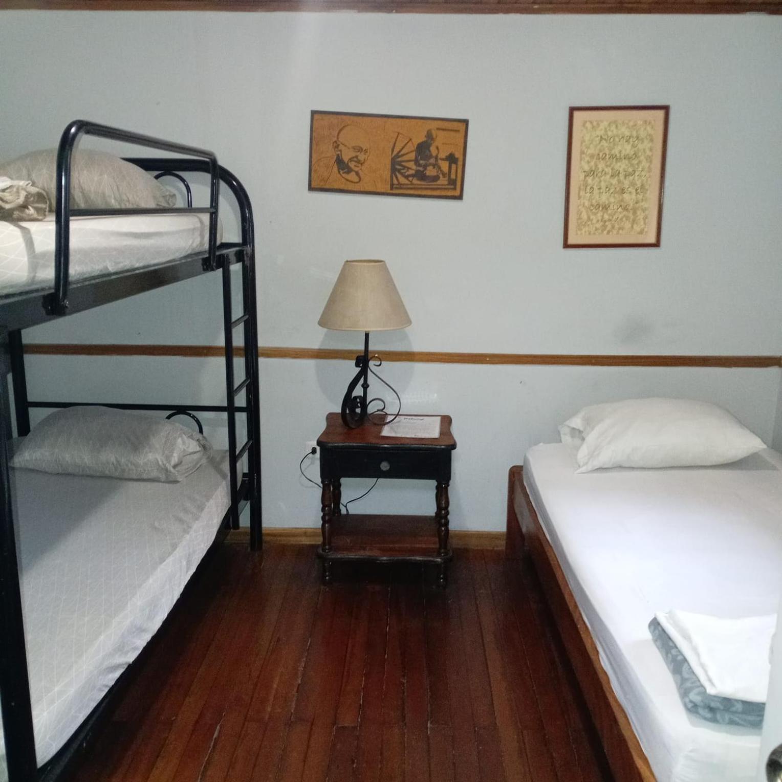 Bunk Bed in Mixed Dormitory Room