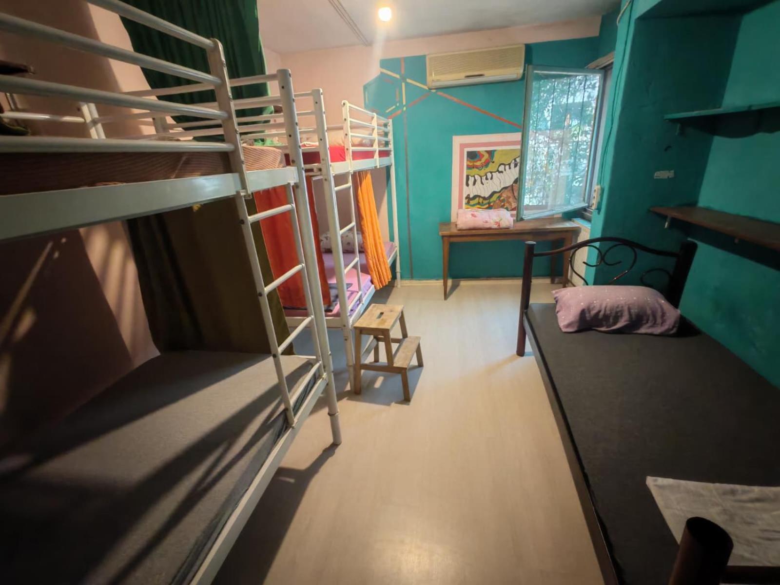 Bunk Bed Mixed Dormitory Room