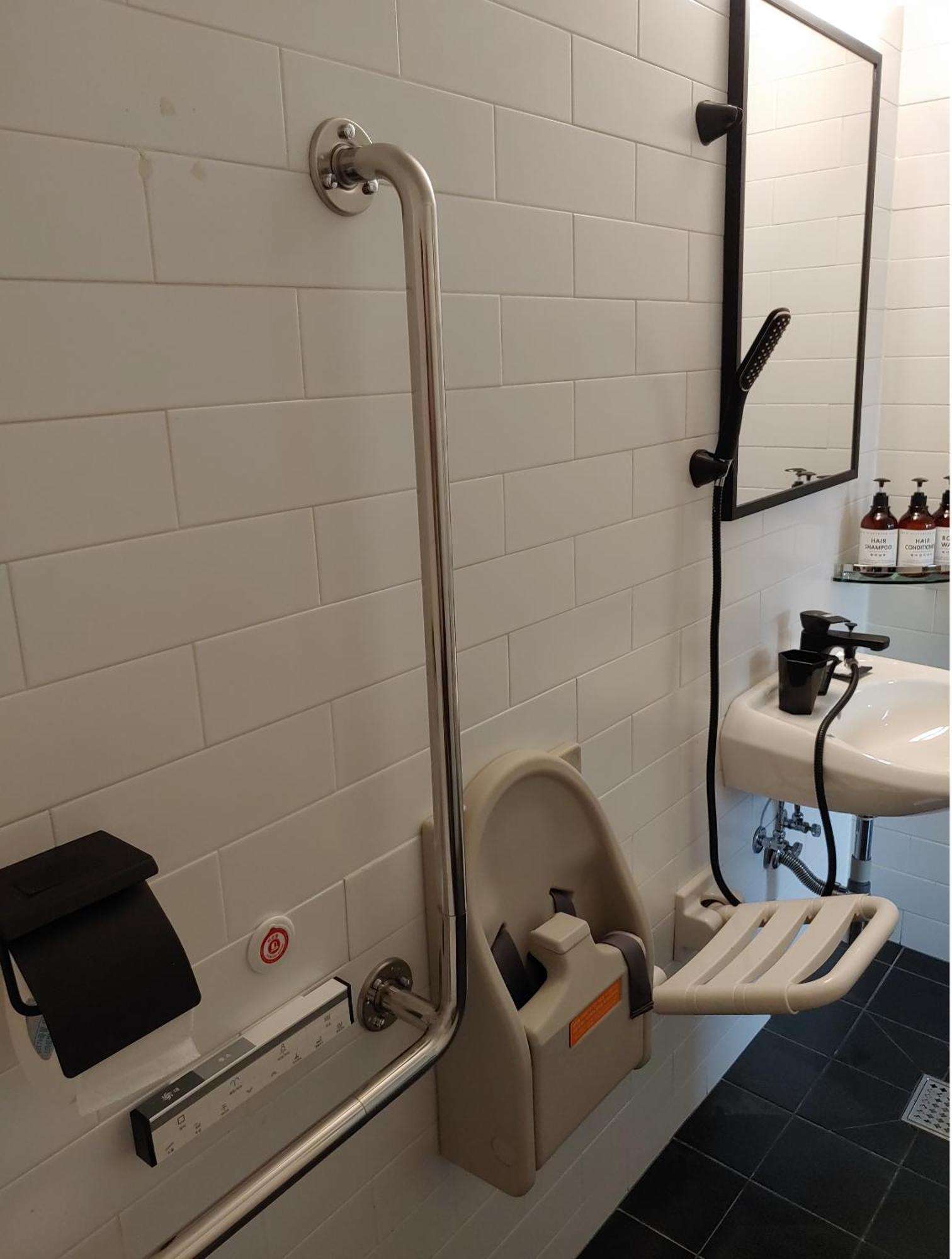 King Room Roll Shower Disability Access