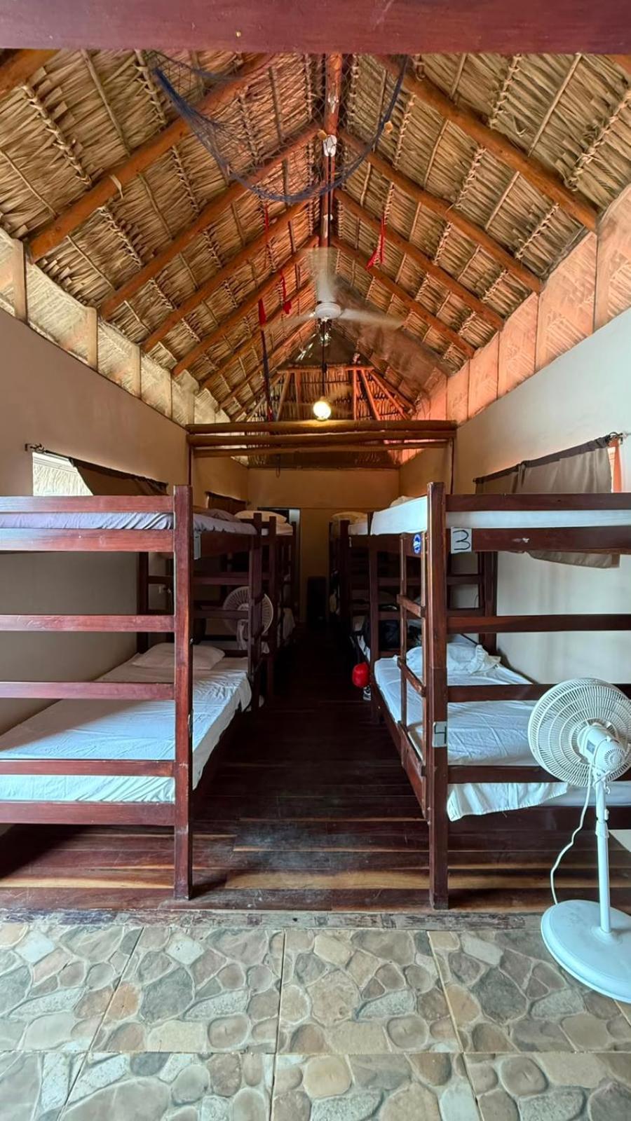 10-Bed Mixed Dormitory Room
