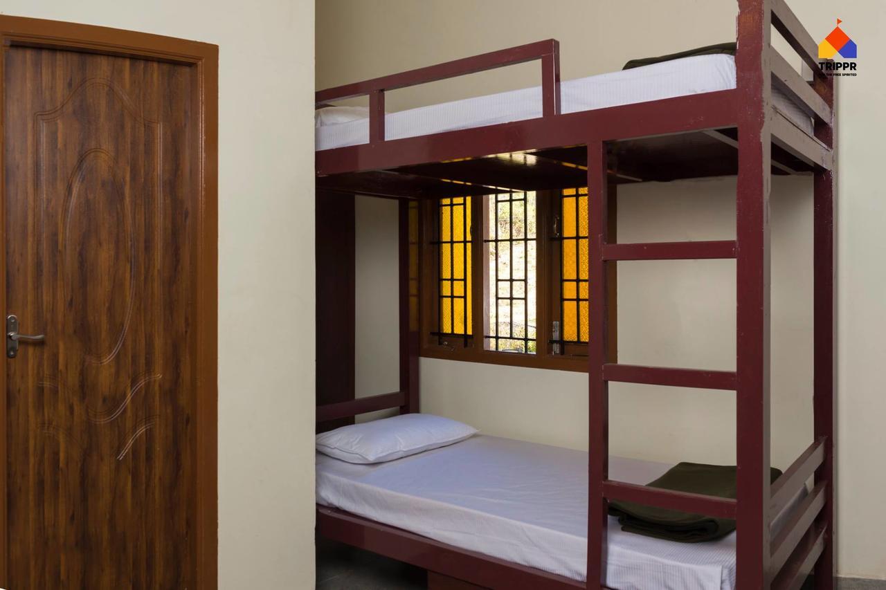 Bed in 4-Bed Dormitory Room,738978847:JPEG